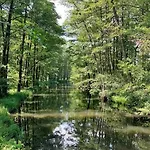Spreewald Spreemilia Gurkenbude Lägenhet *