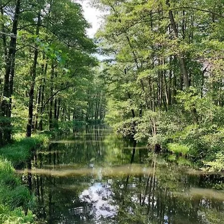 Spreewald Spreemilia Gurkenbude 公寓 *