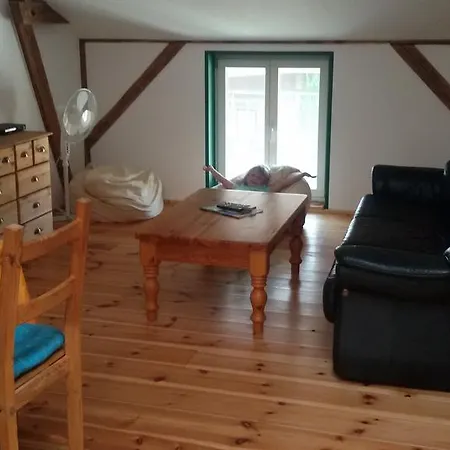 公寓 Spreewald Spreemilia Gurkenbude